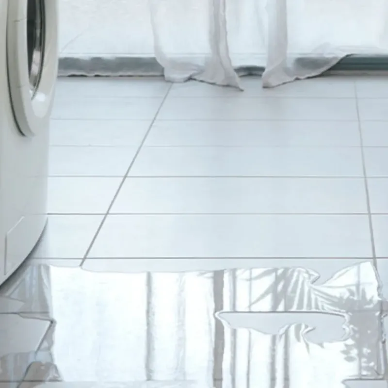Appliance Leak Cleanup in Adams County, ID