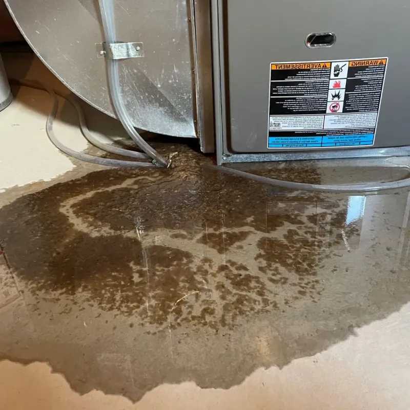 Pipe Burst and Leak Restoration in Adams County, ID